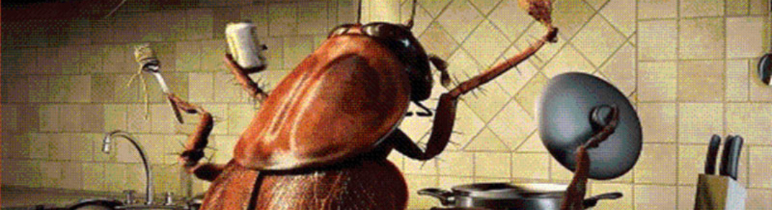 Dedetização de Baratas Voadoras  24 HORAS